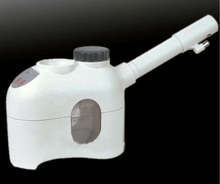 Cargar imagen en el visor de la galería, Mini vaporizador facial portátil #441